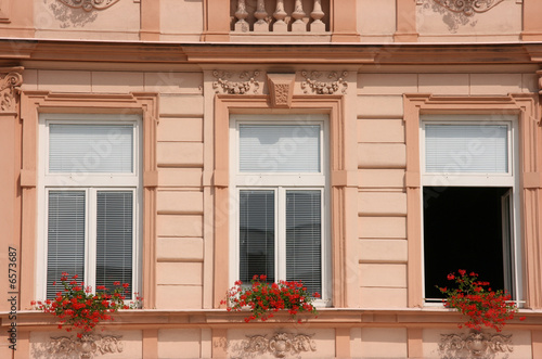 Palace windows