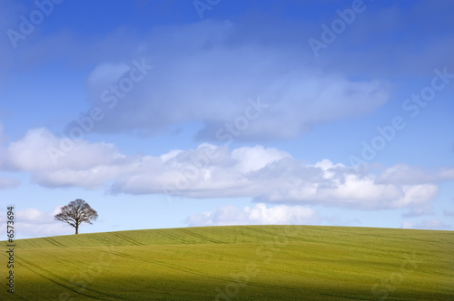 Rural English Winter Landscape