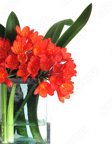 vase of springtime flowers isolated