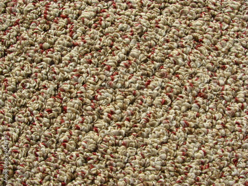 Berber carpet background 