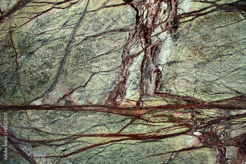 Rain Forest Green