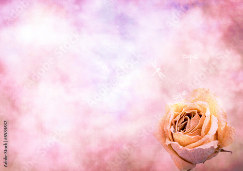 Avec une rose