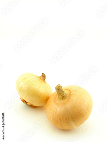 Onion