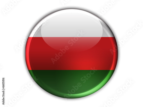 Bulgary Flag