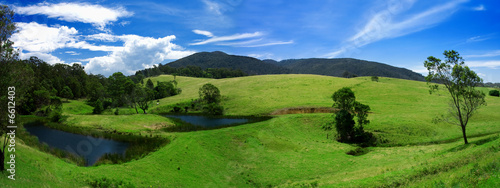 Lush Field Panorama