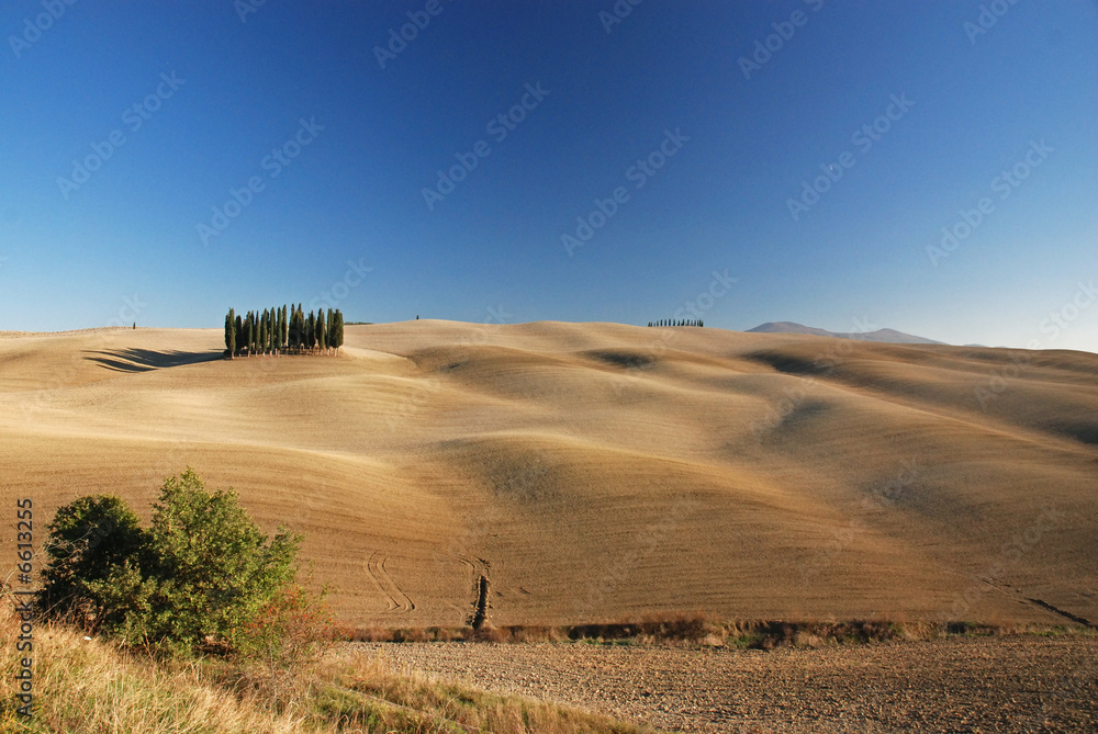 Fototapeta premium Tuscany