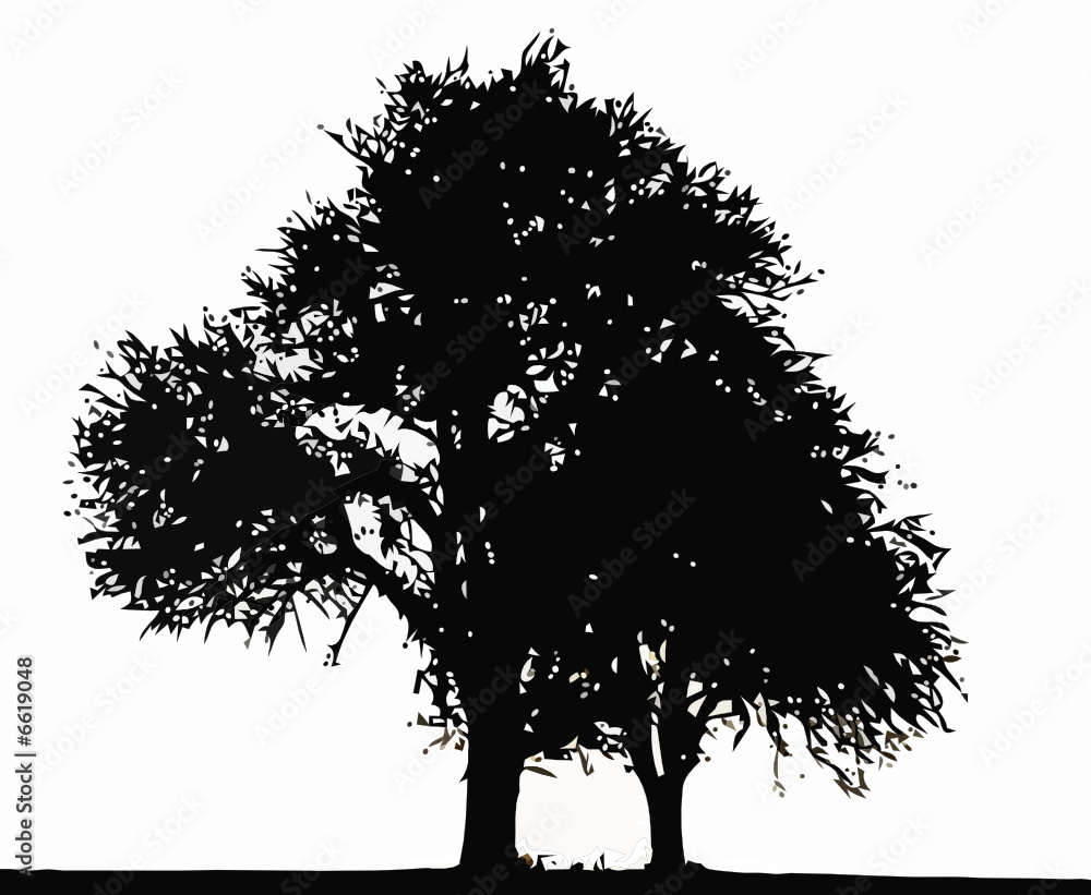 baum