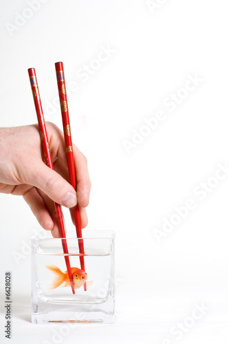 Fresh Sushi