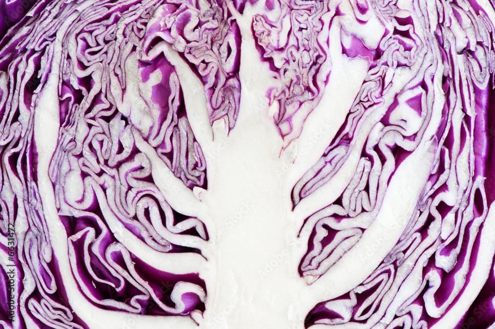 Obraz premium Red cabbage contour
