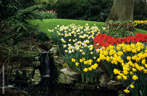 Keukenhof Waterfall