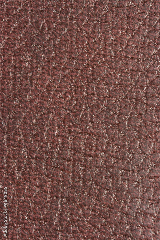 Fototapeta premium Leather texture