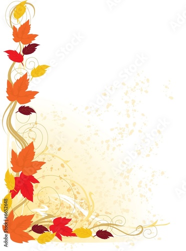 Autumn Border