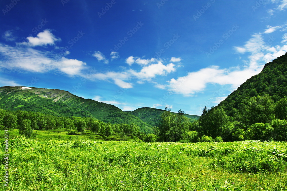 Obraz premium Mountain meadow