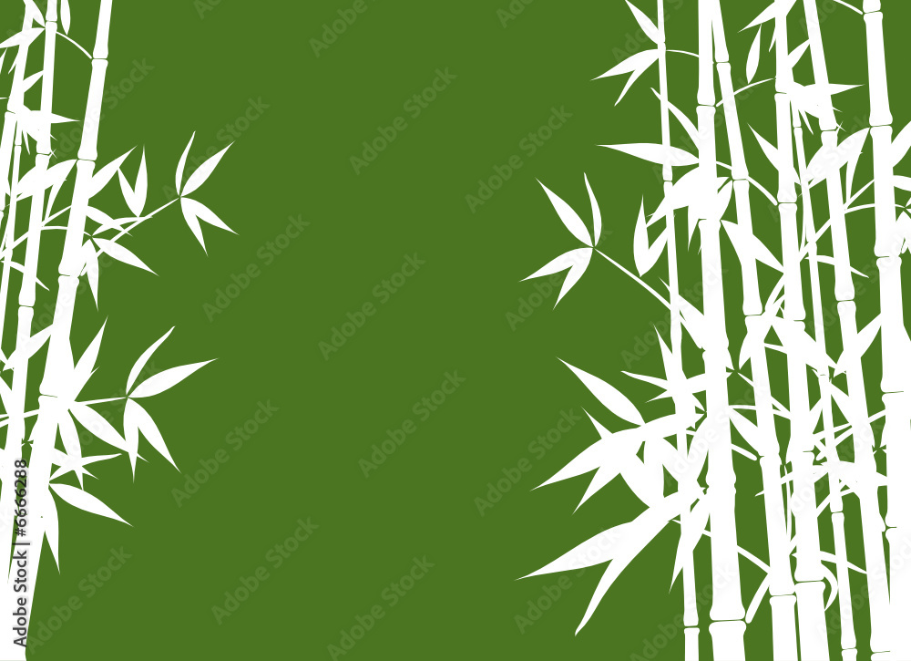 Bamboo background, vector illustration