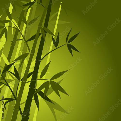 Bamboo background, vector illustration