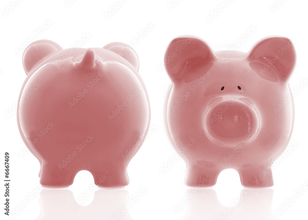 Pink Piggybank Front and Back Pink Piggybank Front and Back