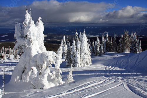 Ski slopes of Silver Star photo