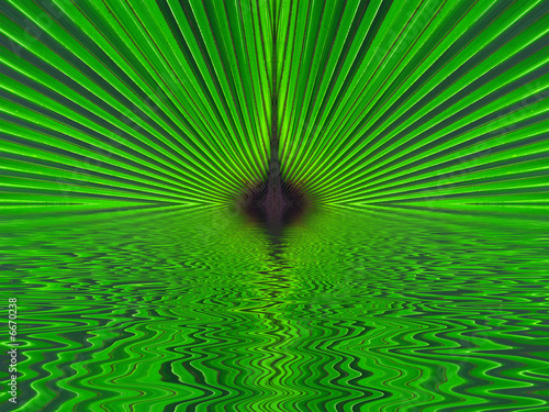 reflets de soleil vert
