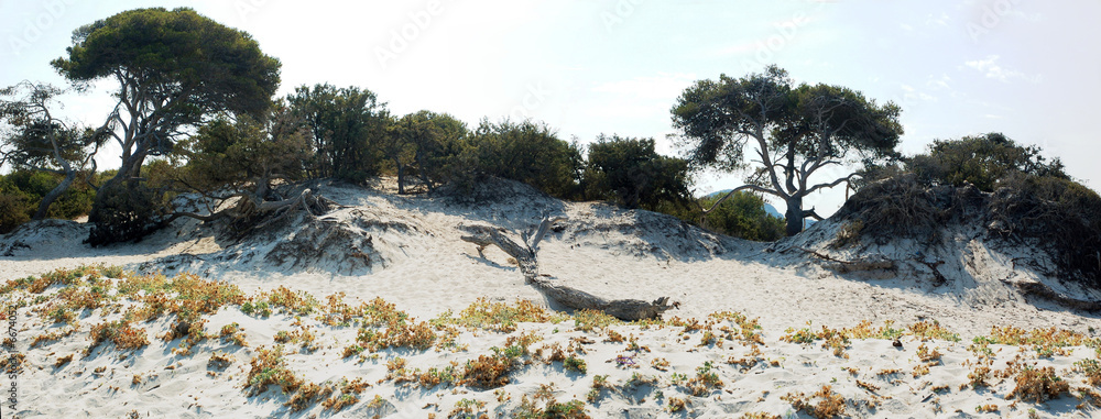 Fototapeta premium Sallecia, Corse