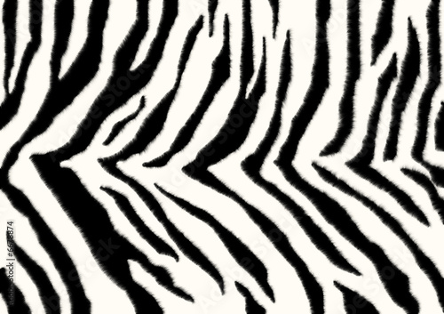 Texture - a fluffy skin of a zebra
