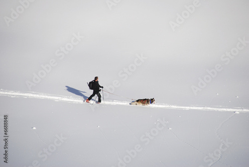 randonneur et chien en montagne