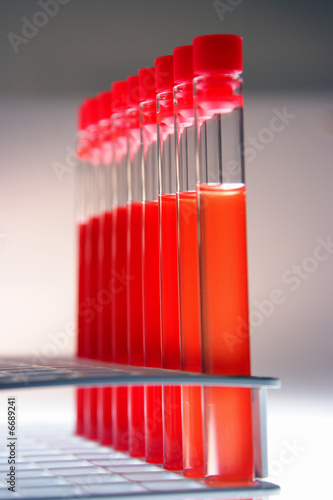 Test-tube with red sample