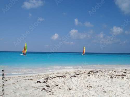 Sailing boats