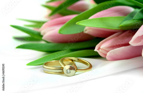 Spring tulips isolated on a white background