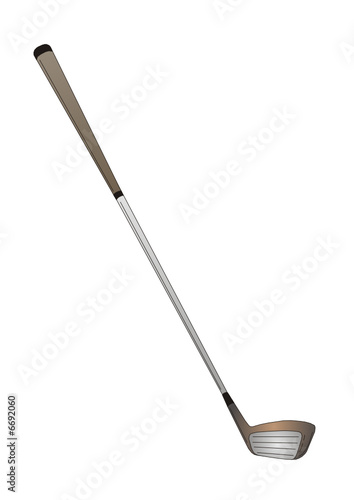 Palo de golf