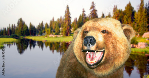  A Happy Bear photo