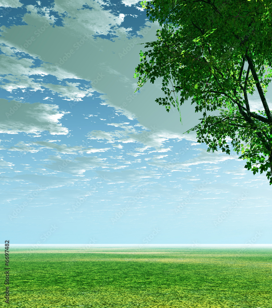 Fototapeta premium Spring scenery