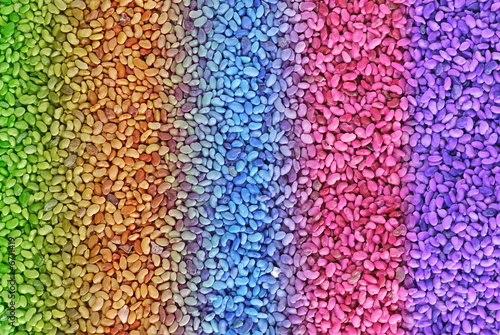 Colorful seeds in close-up