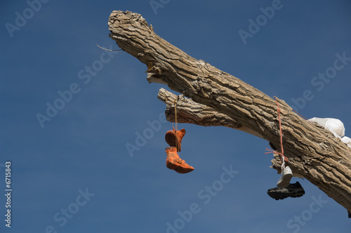 Shoe tree