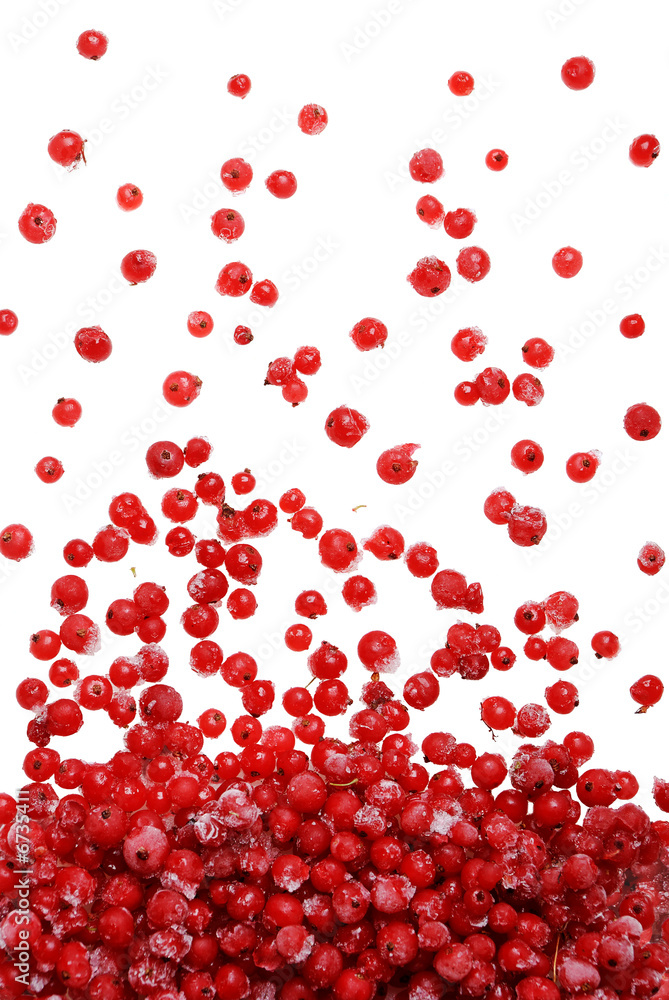 Frozen red berries falling Frozen red berries falling