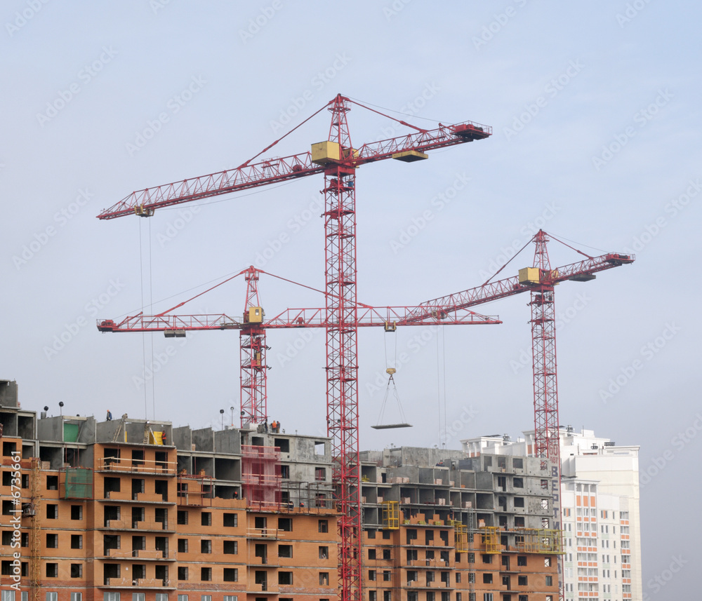 crane