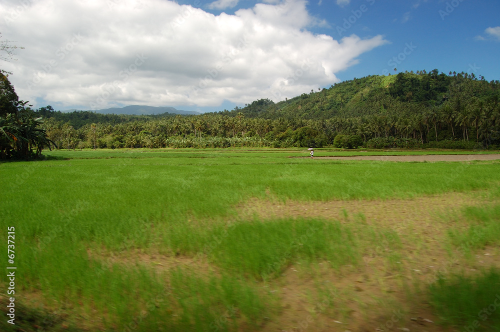 Rural scene in the Philippines