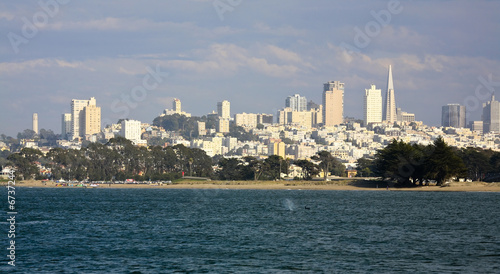 San Francisco skyline