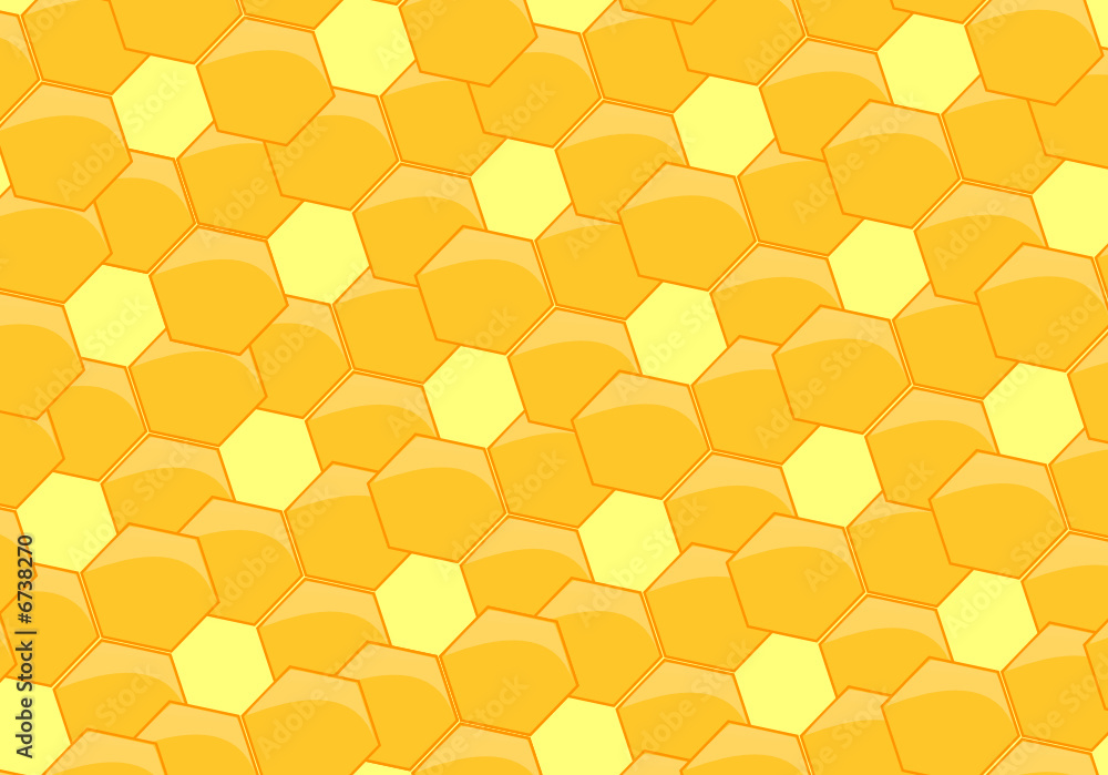 fundo fundo
