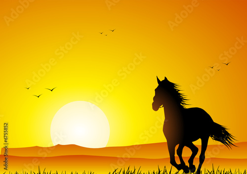 Horse running at sunset
