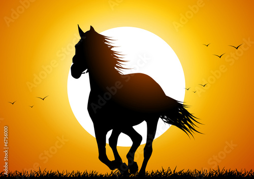 Horse running at sunset