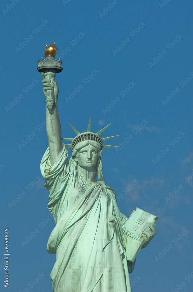 Fototapeta premium liberty statue new york usa