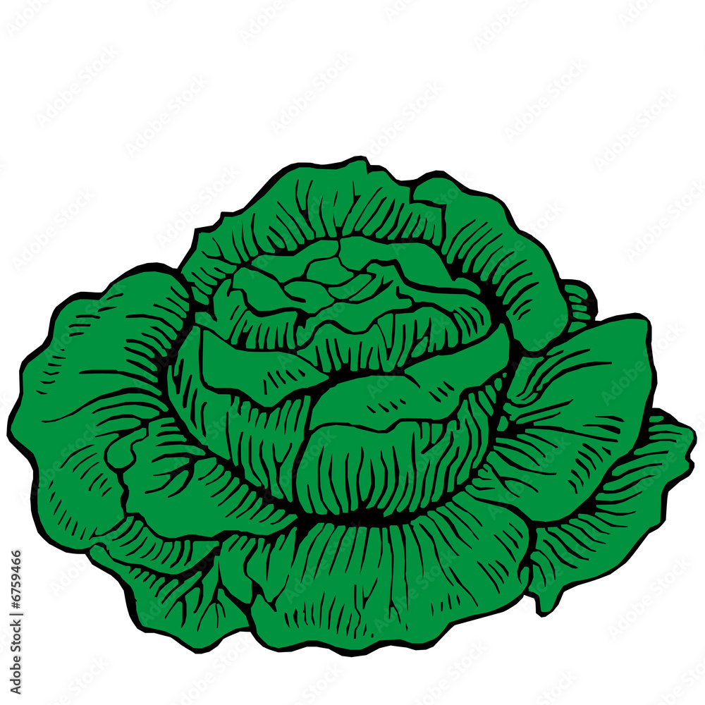 Obraz premium Coliflor