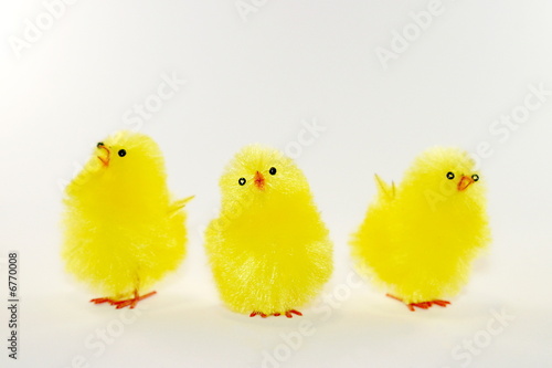 Chicks (6193)