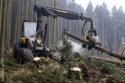 Slika na platnu Holzvollernter, Harvester, Wald, Copyspace