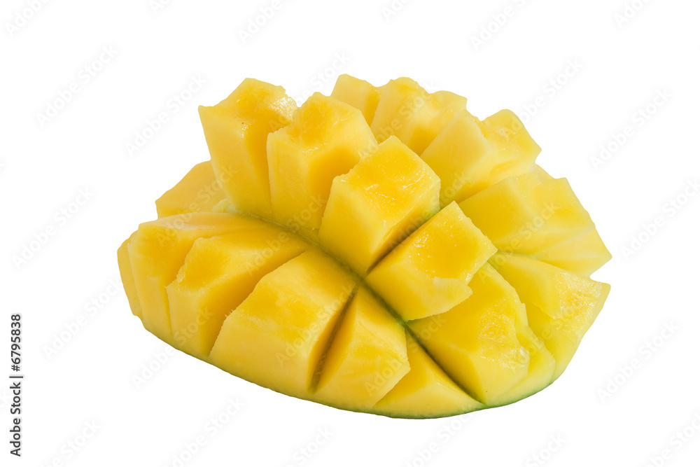 Mango Igel Mango Igel