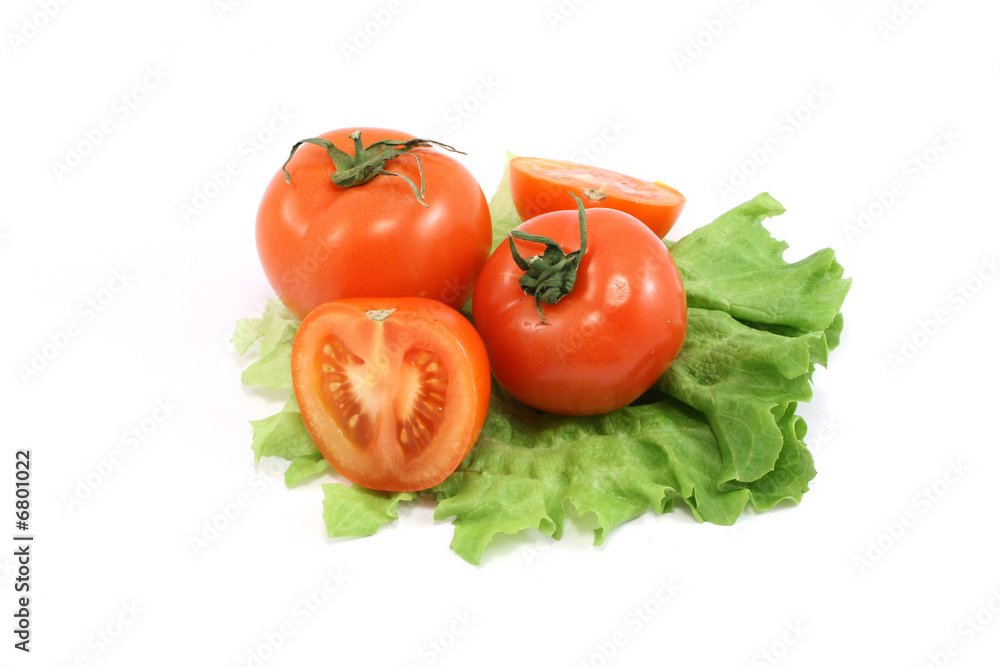 tomato and lettuce