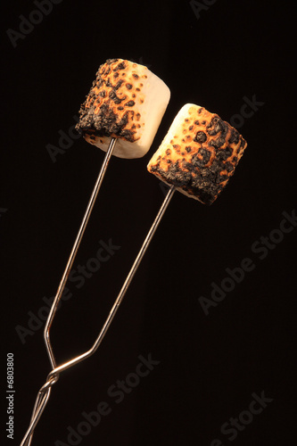 Two toasted Marshmallows