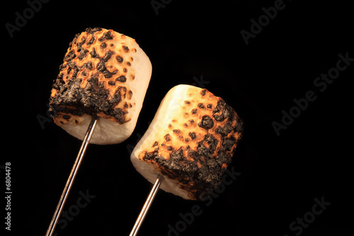 Two Roasted Marshmallows