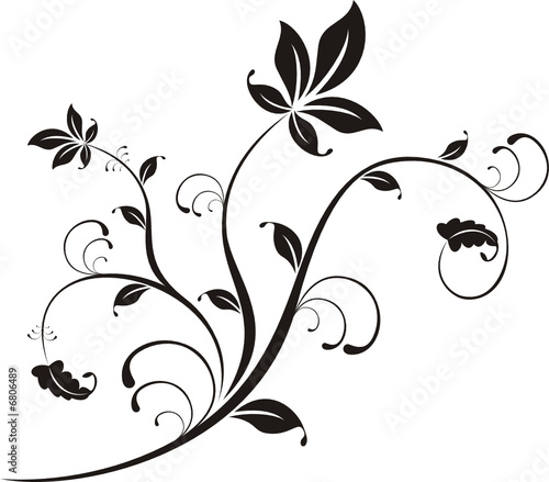 plantas