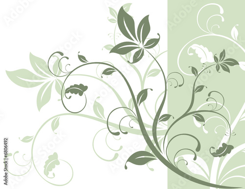 fondo nature